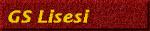 GS Lisesi